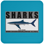 SRS BLUE SHARK C