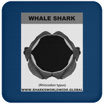 GR WHALE S J C