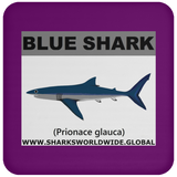 SSP BLUE SHARK C