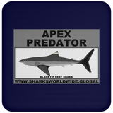AP BLACKTIP REEF C