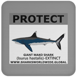 PRS GIANT MAKO V2 C
