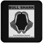 GR BULL SHARK J C