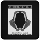 GR BULL SHARK J C