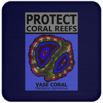 PCRS VASE C
