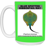 B S RIBBONTAIL RAY M