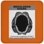 GR MEGALODON J C