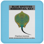 GR BS RIBBONTAIL C