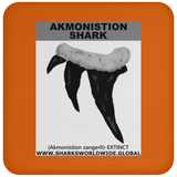 GR AKMONISTION T C