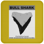 GR BULL SHARK T C