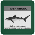 SSP TIGER SHARK C