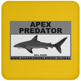 AP BULL SHARK C