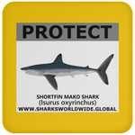 PRS SHORTFIN V2 C