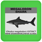 SSP MEGALODON C