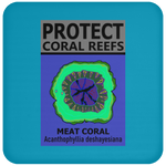 PCRS MEAT C