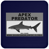 AP BULL SHARK C