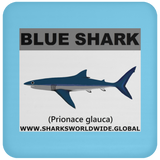 SSP BLUE SHARK C