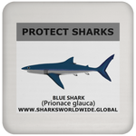 PRS BLUE SHARK V1 C