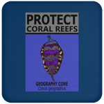 PCRS GEO C