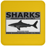 SSPX MEGALODON C