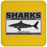 SSPX MEGALODON C