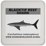 SSP BLACKTIP REEF C