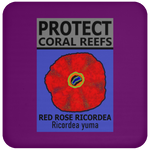 PCRS ROSE C