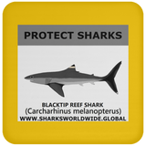 PRS BLACKTIP REEF V1 C
