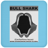 GR BULL SHARK J C