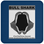 GR BULL SHARK J C