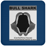 GR BULL SHARK J C