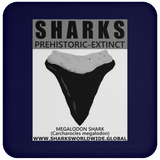 GR SSPX T MEGALODON C