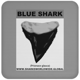GR BLUE S T C