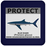 PRS BLUE SHARK V2 C