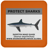 PRS SHORTFIN V1 C