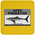 AP BLACKTIP REEF C