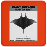 G OCEANIC MANTA C
