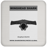 GR WINGHEAD J C