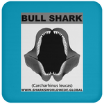 GR BULL SHARK J C