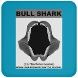 GR BULL SHARK J C