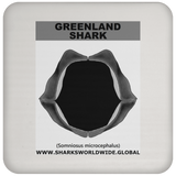 GR GREENLAND J C