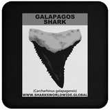GR GALAPAGOS T C