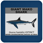 SSP GIANT MAKO C