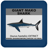 SSP GIANT MAKO C