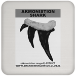 GR AKMONISTION T C