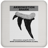 GR AKMONISTION T C