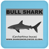 SSP BULL SHARK C