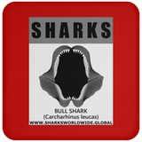 GR SRS J BULL SHARK C