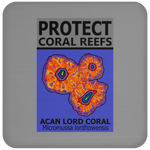 PCRS ACAN C