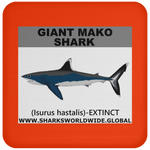 SSP GIANT MAKO C