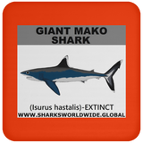 SSP GIANT MAKO C